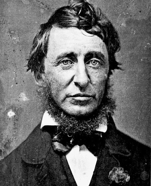 486px-Henry_David_Thoreau.jpg